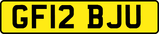 GF12BJU