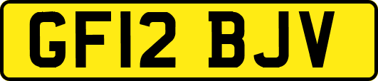 GF12BJV