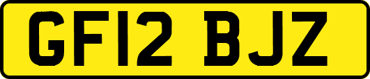 GF12BJZ