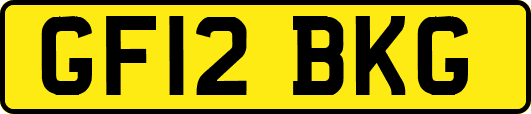 GF12BKG
