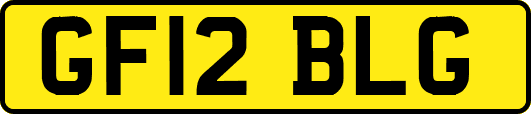 GF12BLG