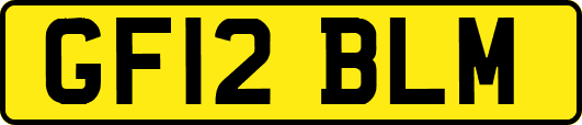 GF12BLM