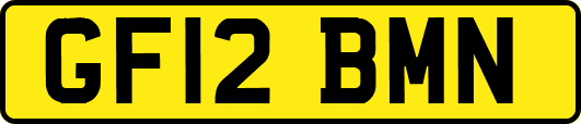 GF12BMN
