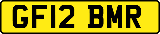 GF12BMR