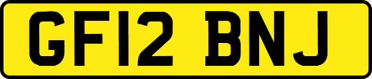 GF12BNJ