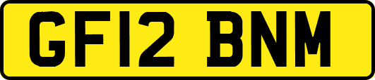 GF12BNM