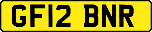 GF12BNR