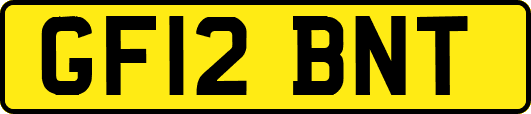 GF12BNT