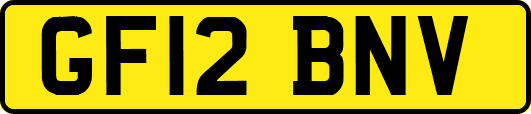 GF12BNV