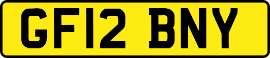 GF12BNY