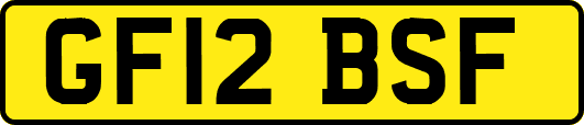 GF12BSF