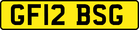 GF12BSG