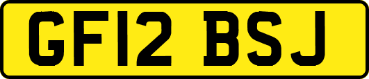 GF12BSJ