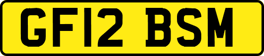GF12BSM