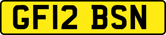 GF12BSN