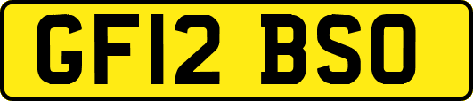 GF12BSO