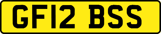 GF12BSS