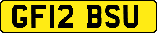 GF12BSU