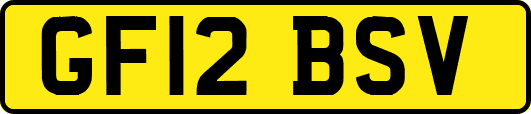 GF12BSV