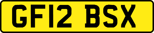 GF12BSX