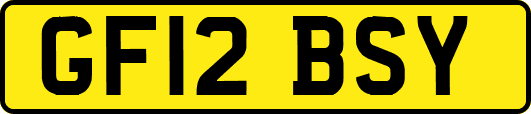 GF12BSY
