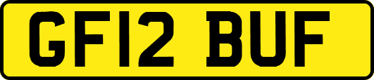GF12BUF