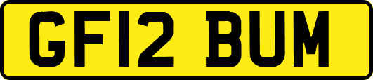 GF12BUM