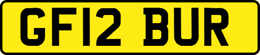 GF12BUR