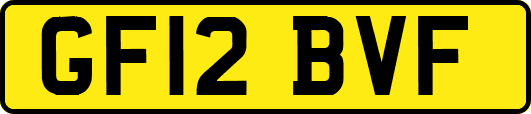 GF12BVF