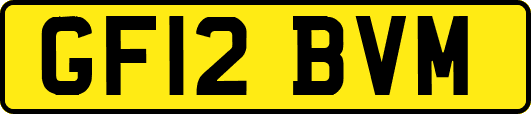 GF12BVM