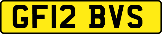 GF12BVS