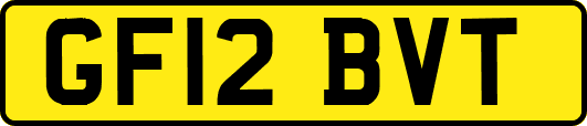 GF12BVT