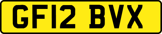GF12BVX