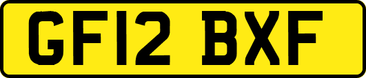 GF12BXF