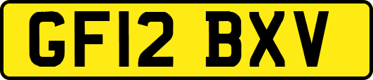 GF12BXV