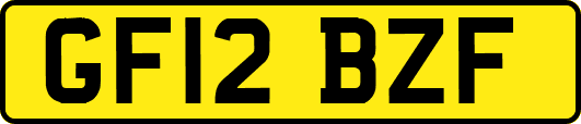 GF12BZF