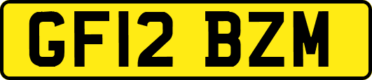 GF12BZM