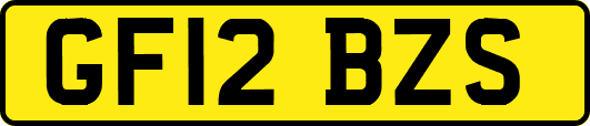 GF12BZS