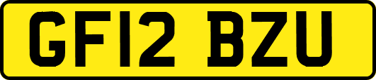 GF12BZU