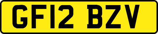 GF12BZV