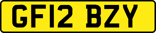 GF12BZY