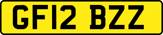 GF12BZZ