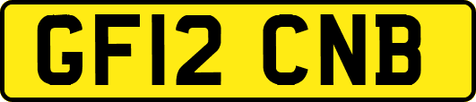 GF12CNB