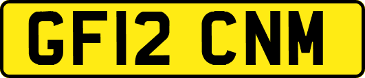 GF12CNM