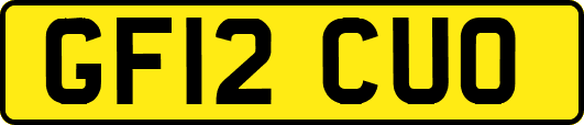 GF12CUO