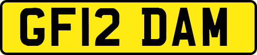 GF12DAM