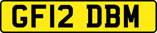 GF12DBM