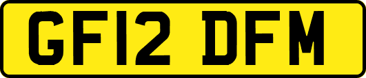 GF12DFM