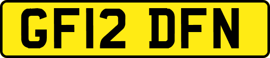 GF12DFN