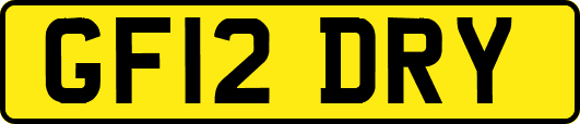 GF12DRY